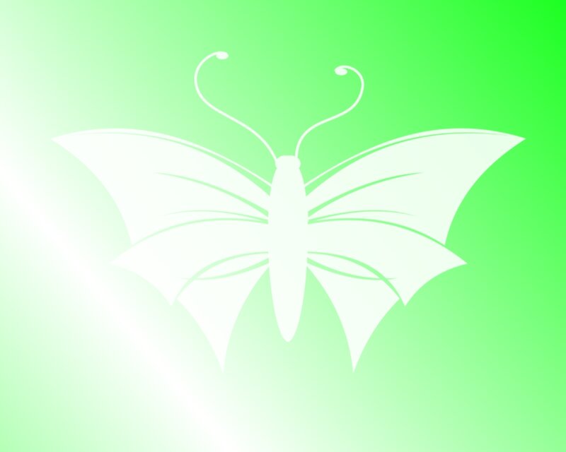 white butterfly on green background