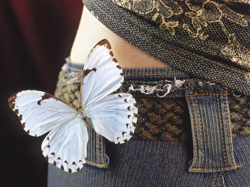 White Butterfly on Jeans — Blue