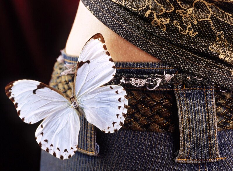 White Butterfly on Jeans