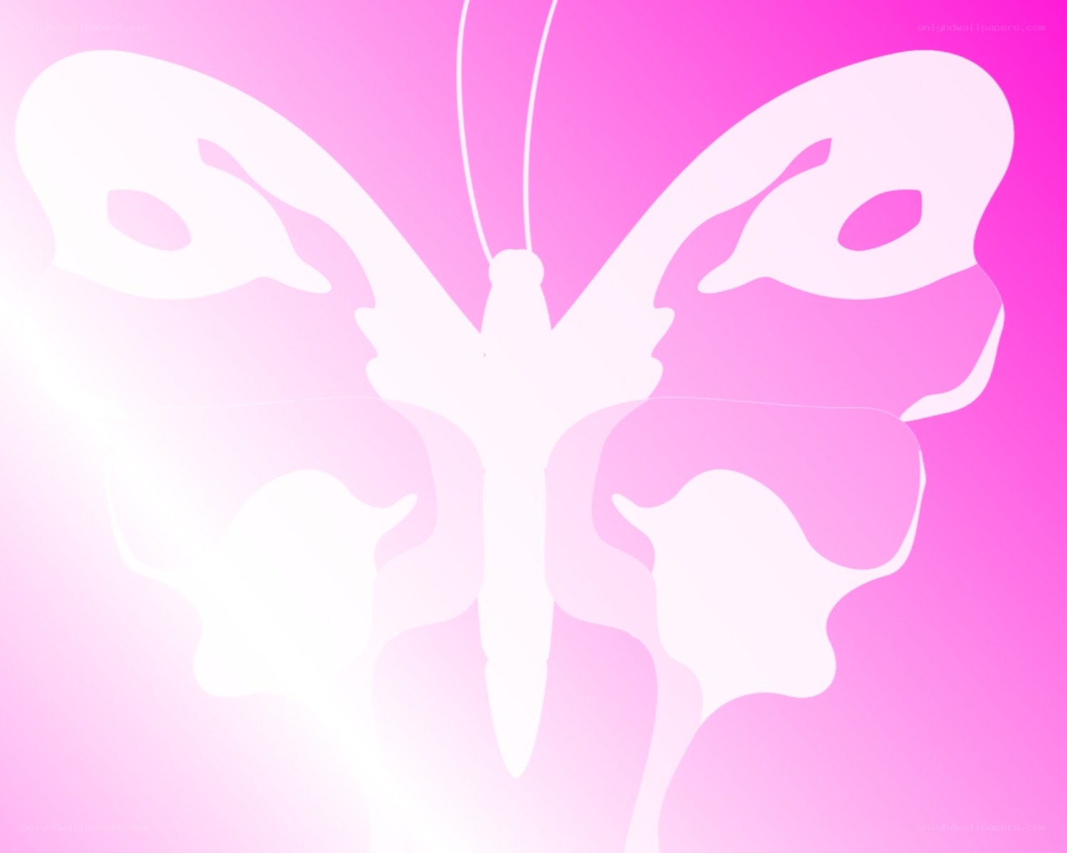 white butterfly on pink background