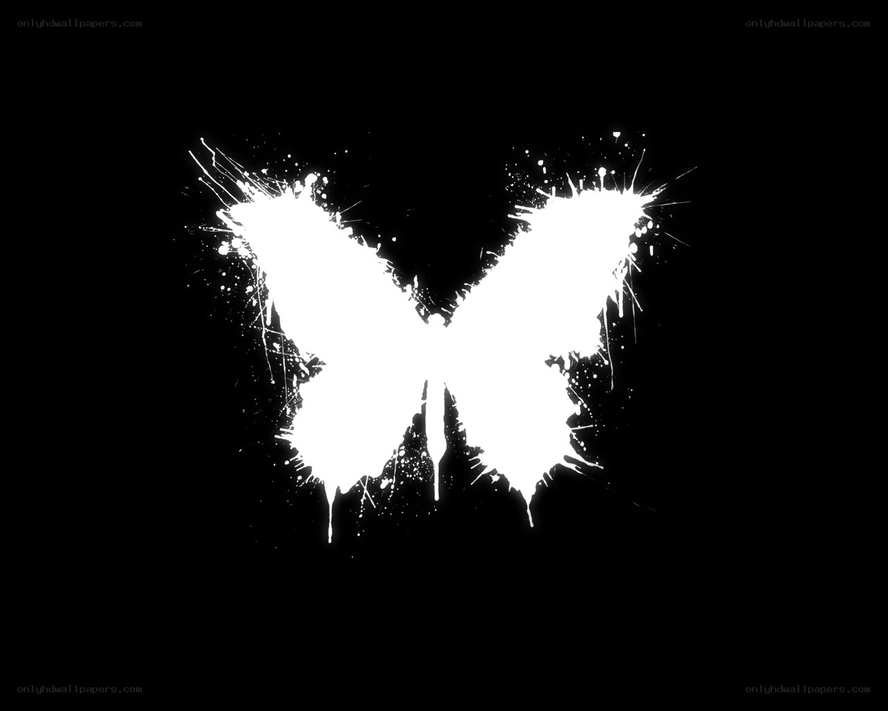 white butterfly splatter art