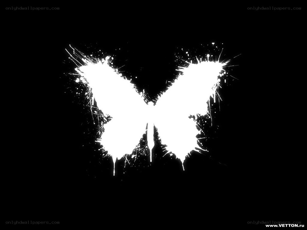 white butterfly splatter art