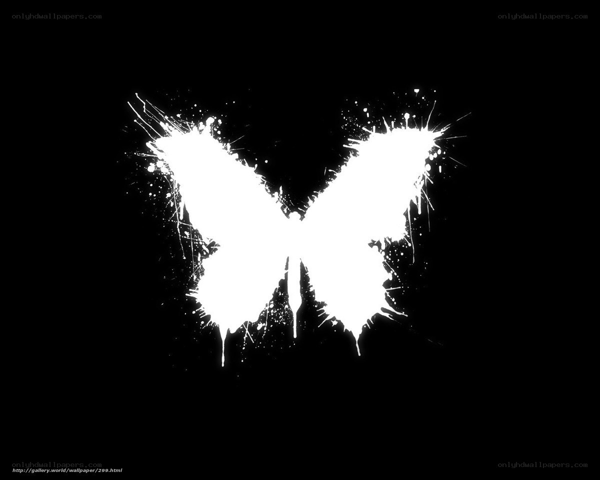 white butterfly splatter art