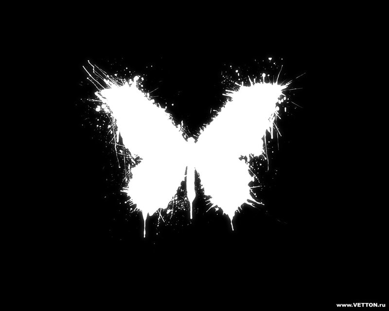 White Butterfly Splatter — Black