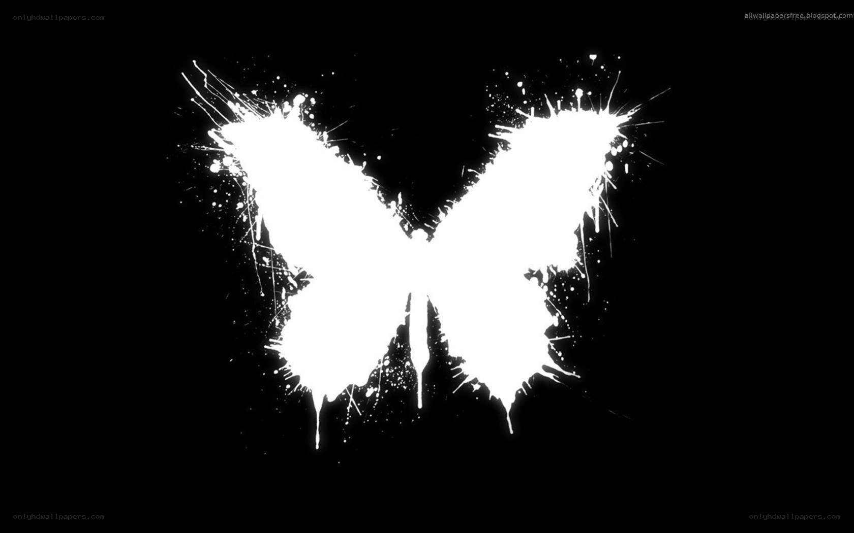 white butterfly splatter