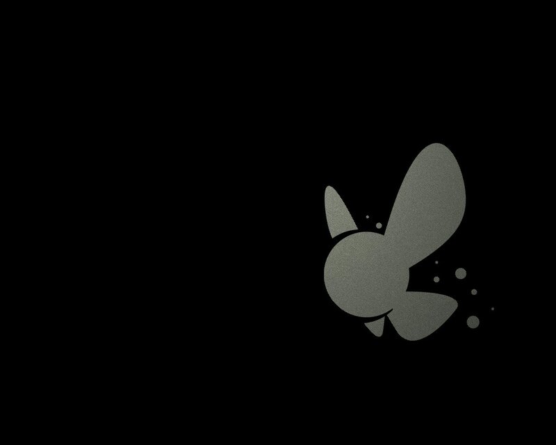 White Butterfly