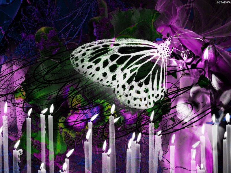 White Butterfly with Green Spots