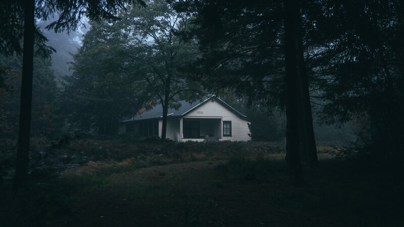 White Cabin in Forest — Dark Green