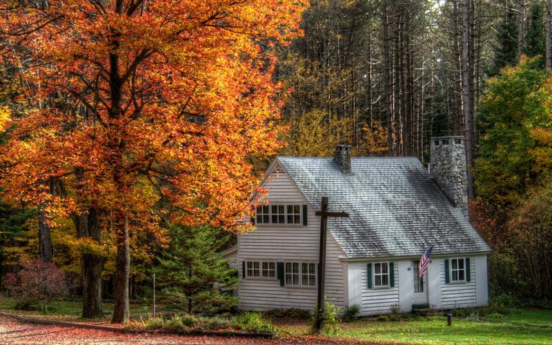 White Cabin in Forest