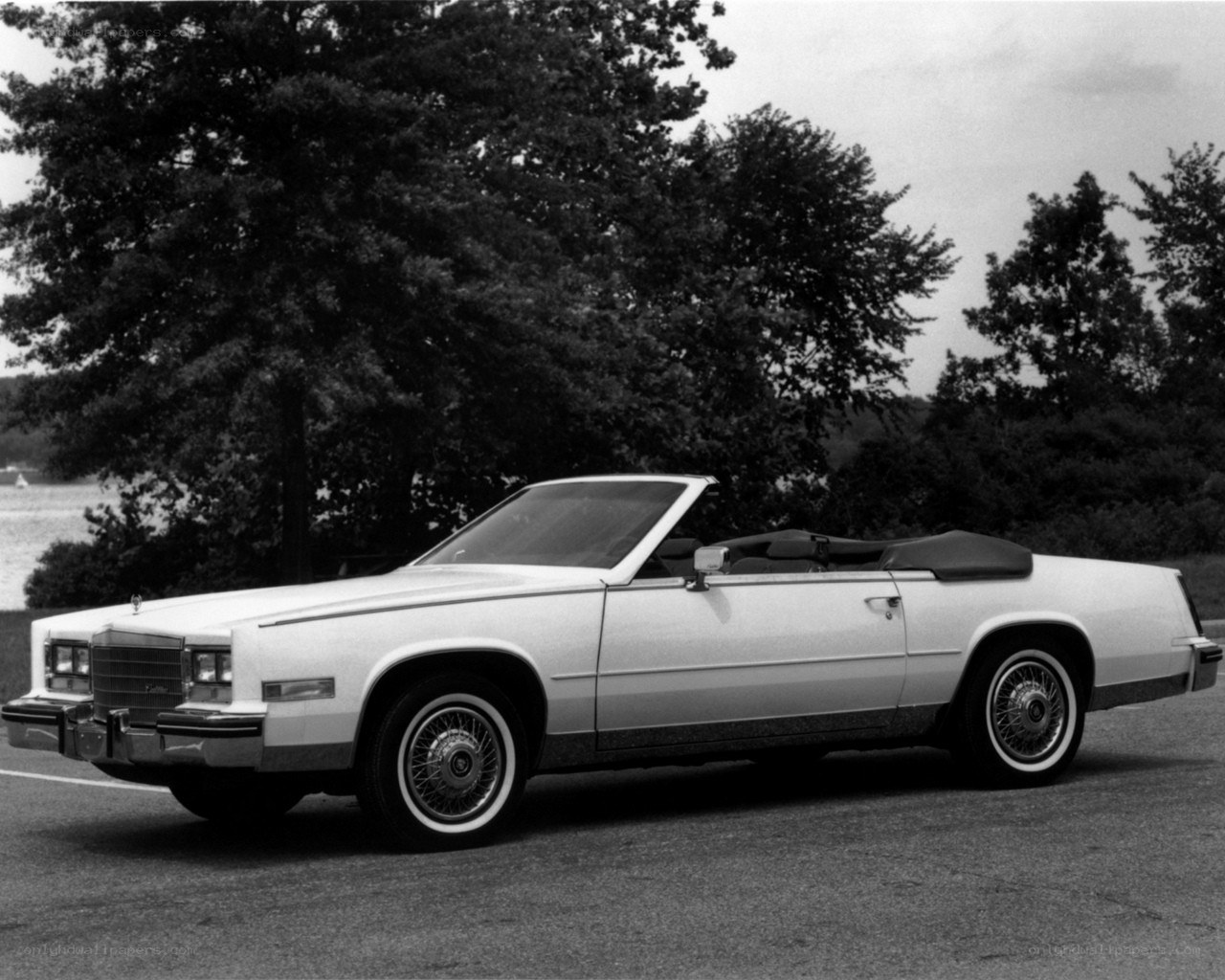 White Cadillac convertible parked
