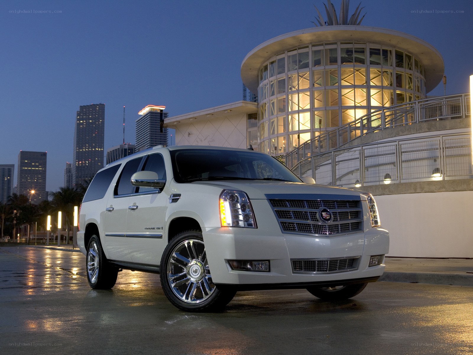 White Cadillac SUV at night