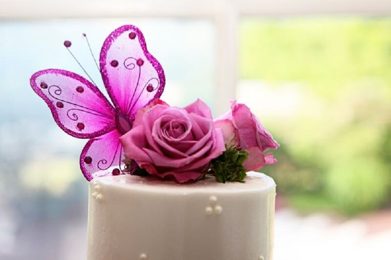 White Cake with Butterfly