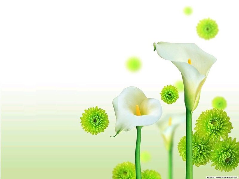white calla lilies and green flowers