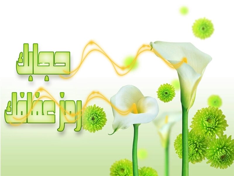 White Calla Lilies and Green Flowers — Calm