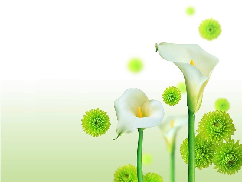 white calla lilies and green flowers