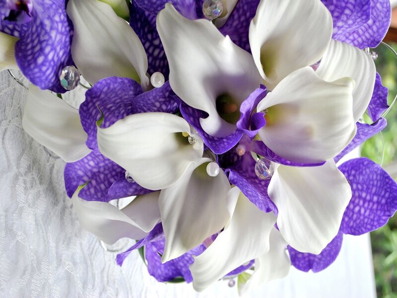 White Calla Lilies and Purple Orchids