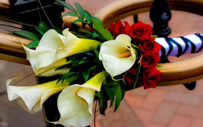 White Calla Lilies and Red Roses — Elegant