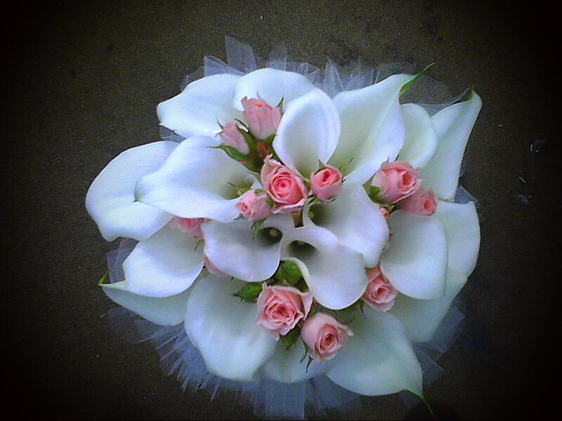 White Calla Lilies and Roses — Elegant