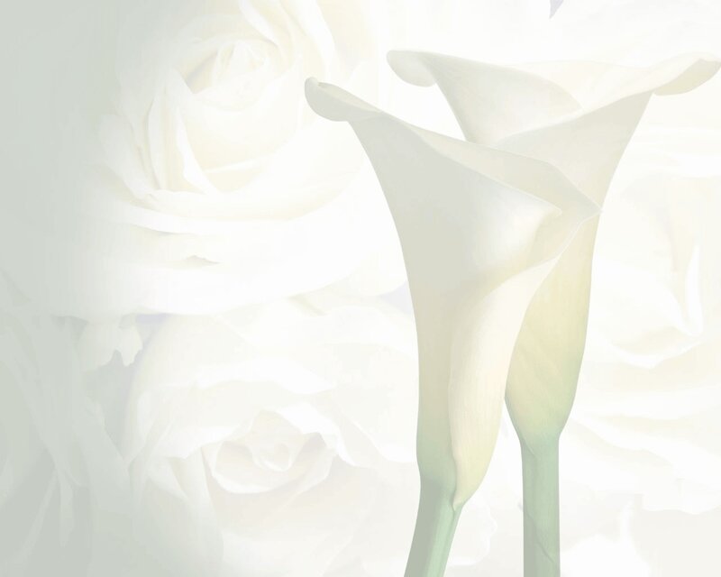 White Calla Lilies and Roses