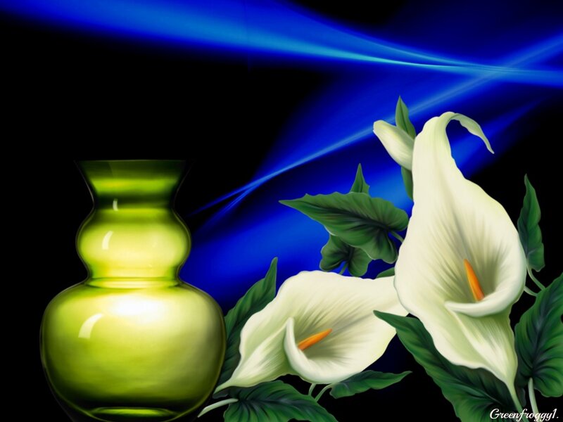 White Calla Lilies and Vase