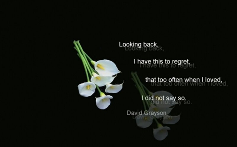 White Calla Lilies — Black, Reflective