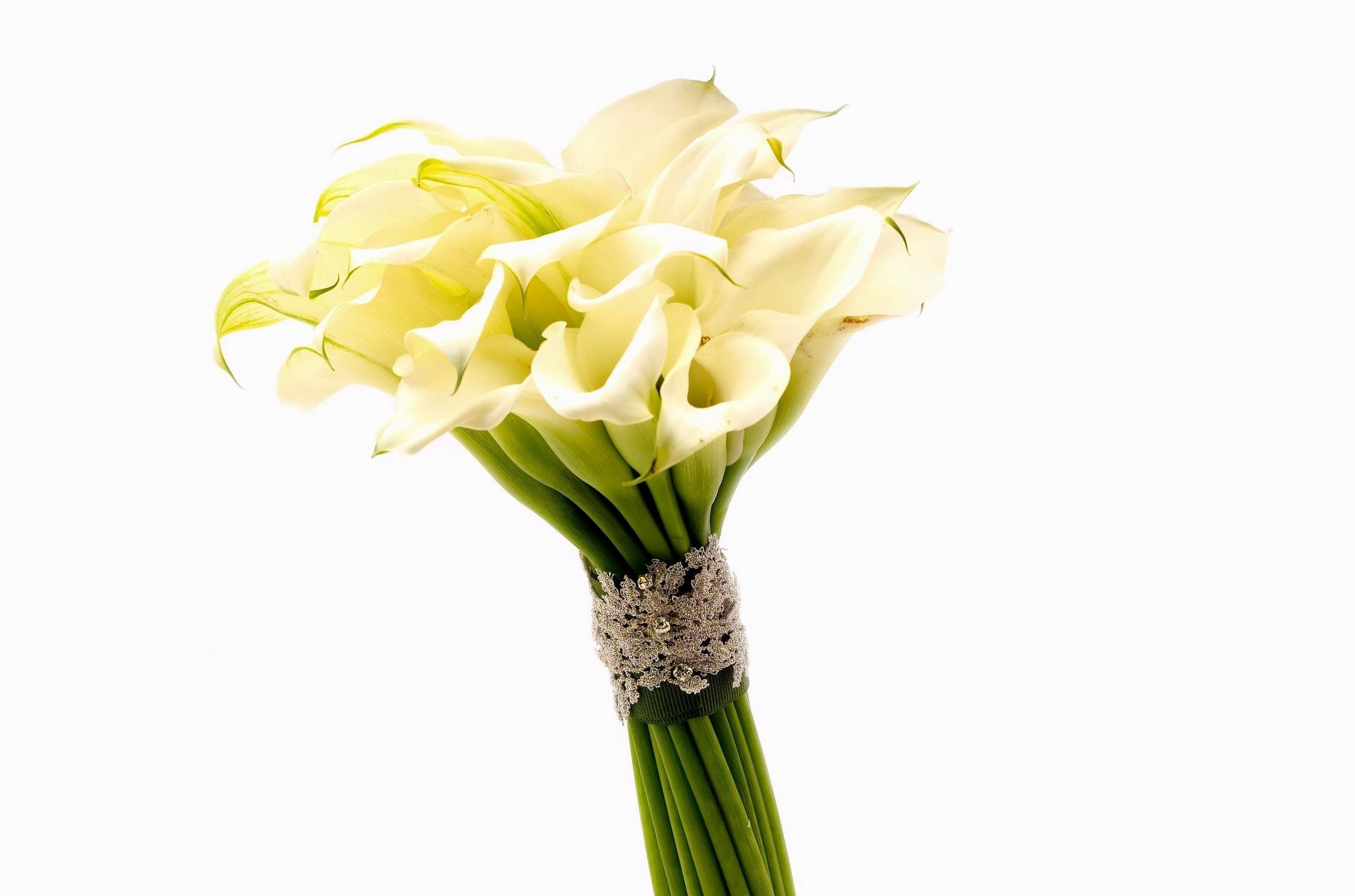 White calla lilies bouquet
