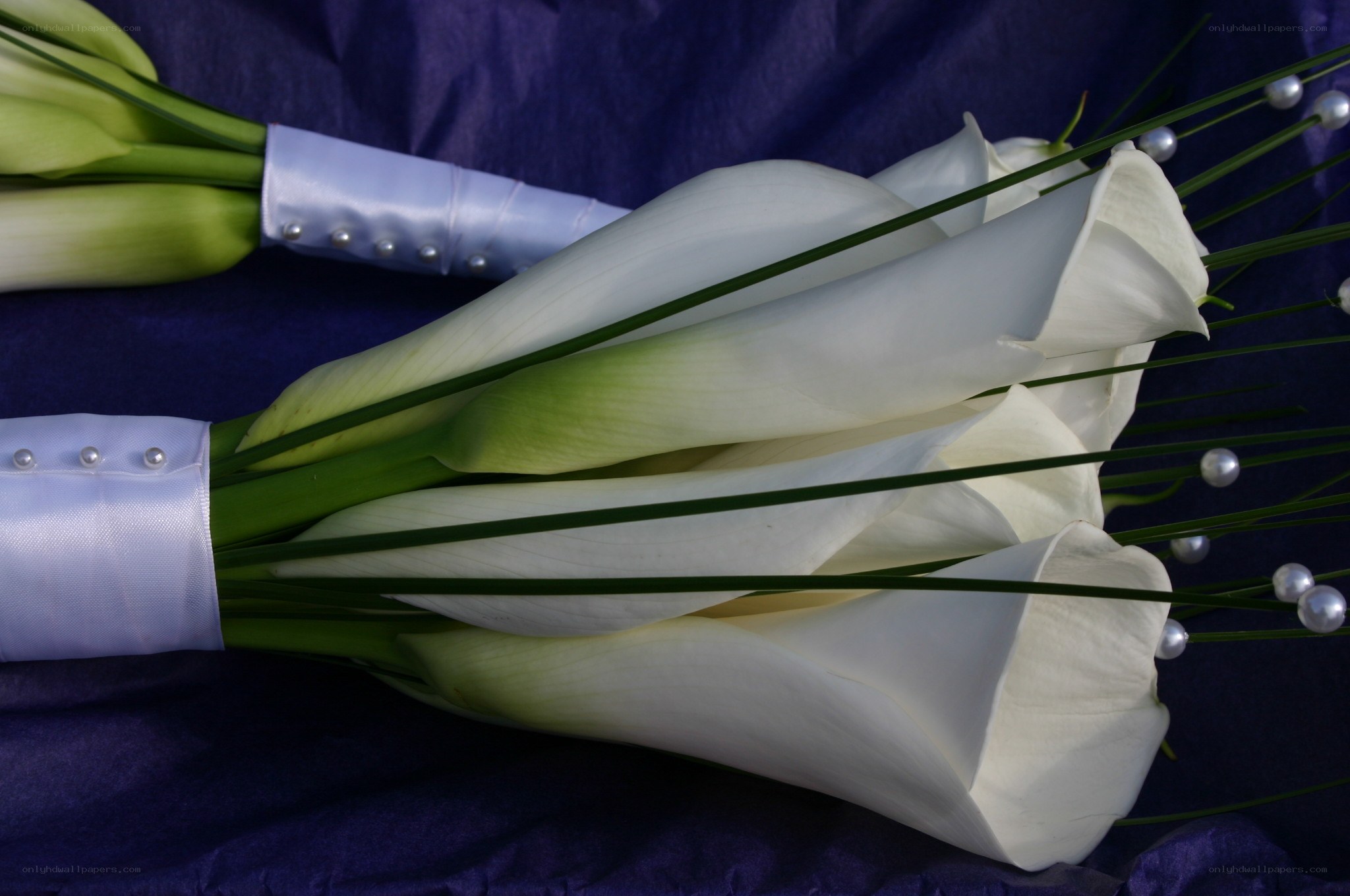 White calla lilies bouquet