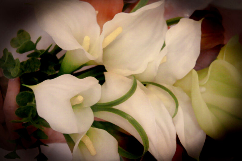 White Calla Lilies Bouquet — Calm