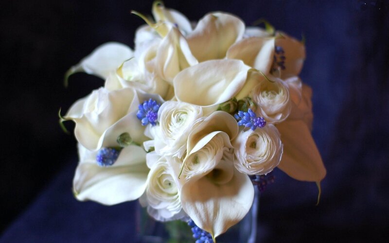 White Calla Lilies Bouquet — Dramatic, Photograph