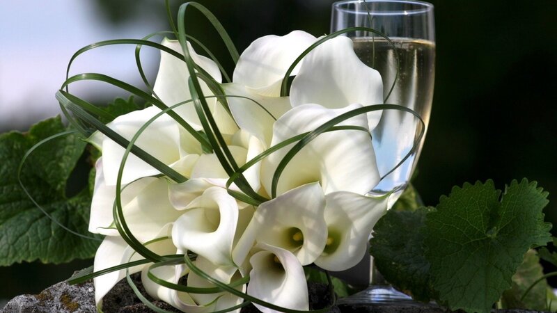 White Calla Lilies Bouquet — Serene, Photograph, Champagne Glass