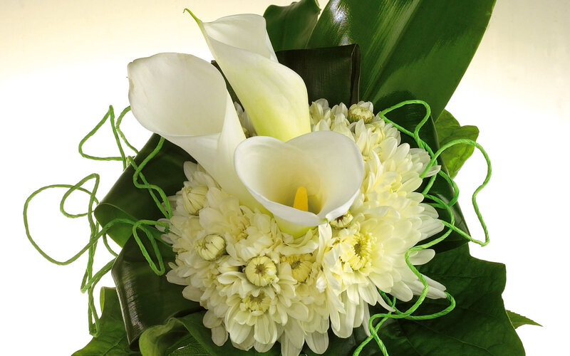 White Calla Lilies Bouquet — Serene, Photograph, Chrysanthemums