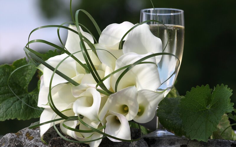White Calla Lilies Bouquet — Serene