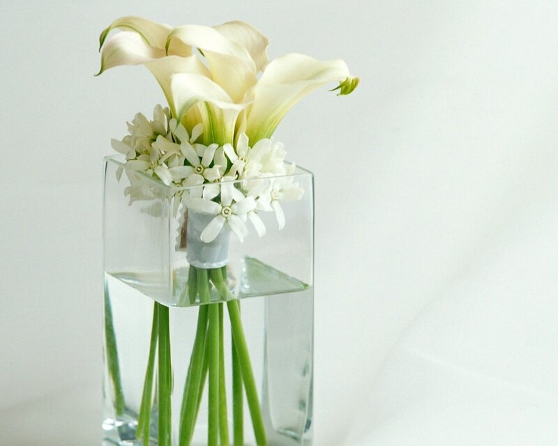 White calla lilies in a vase