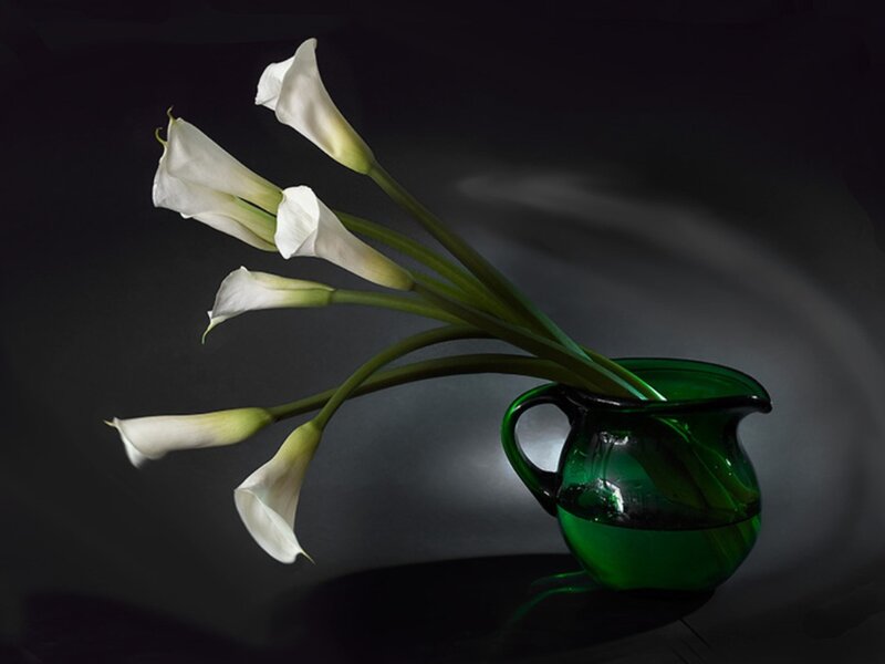 White Calla Lilies in Vase — Green
