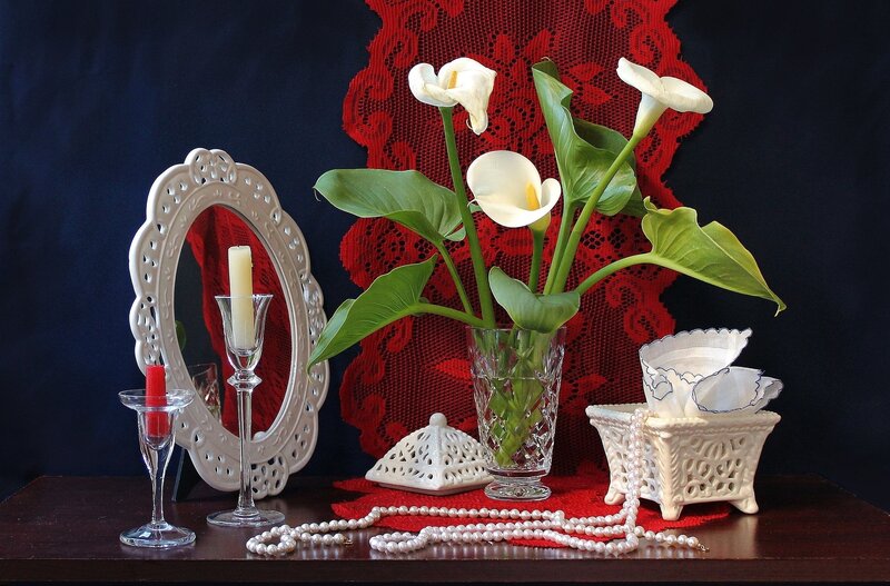 White Calla Lilies in Vase — Red