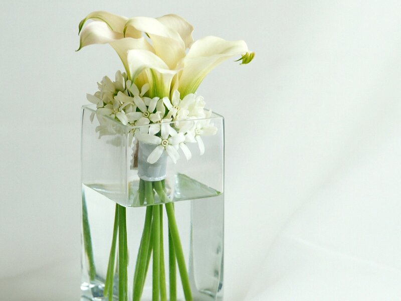 White Calla Lilies in Vase — Serene