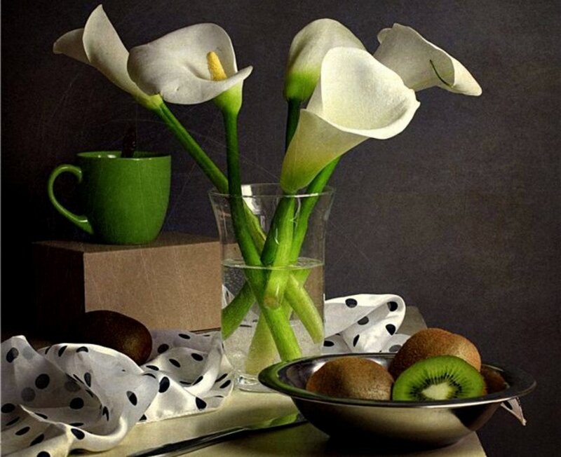White Calla Lilies in Vase — Still Life