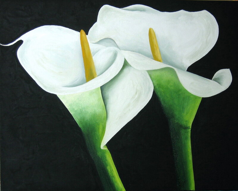 White calla lilies on black