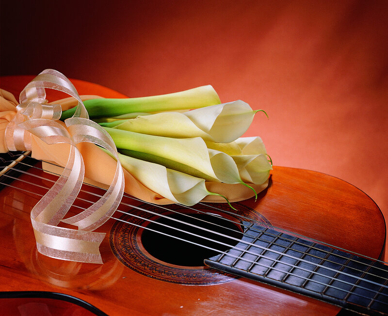 White Calla Lilies on Guitar