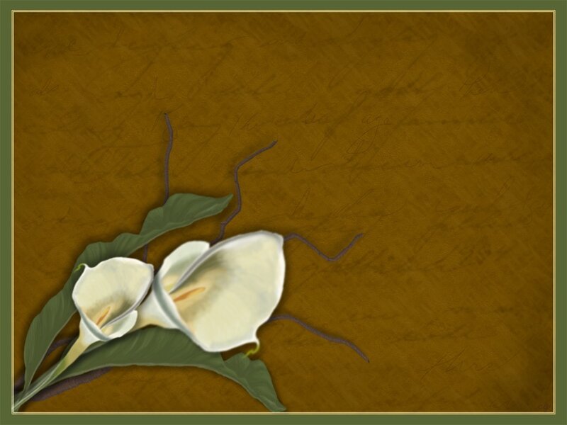 White calla lilies on vintage background