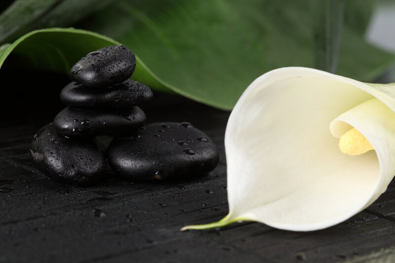 White Calla Lily and Black Stones