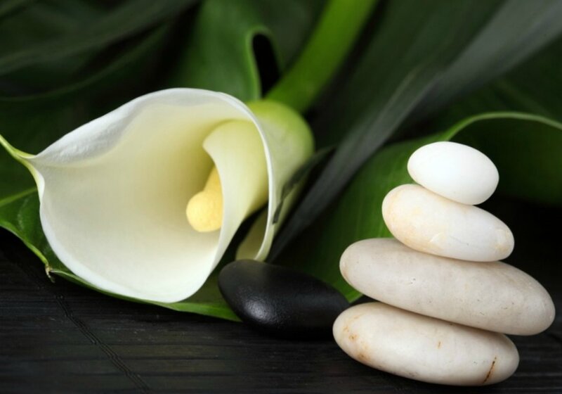 White Calla Lily and Stones — Green