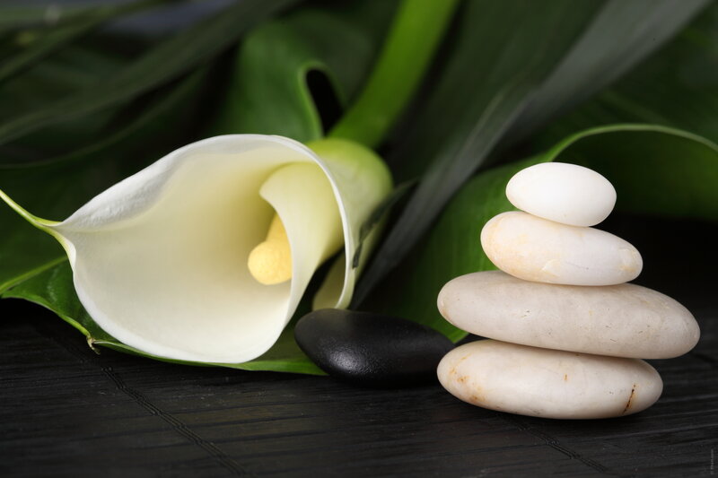 White Calla Lily and Stones — Serene
