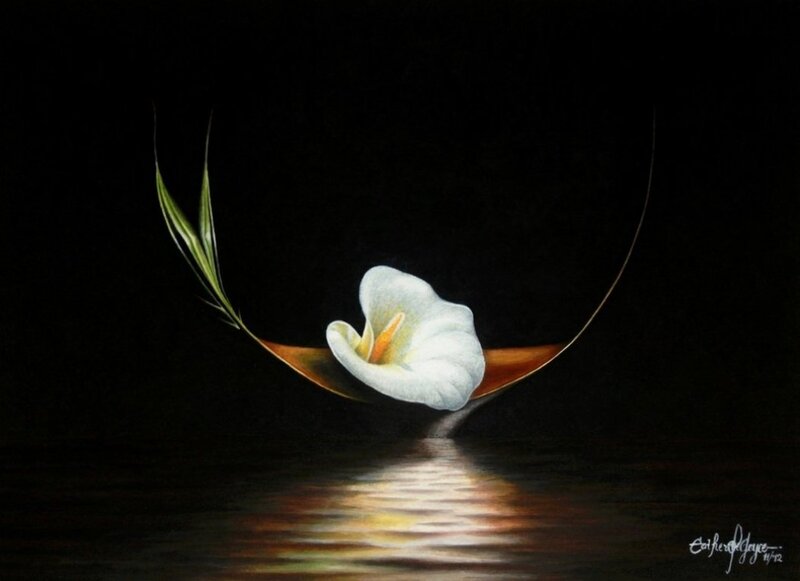 White Calla Lily — Black, Serene
