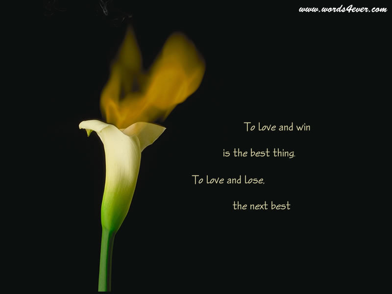 White Calla Lily — Black