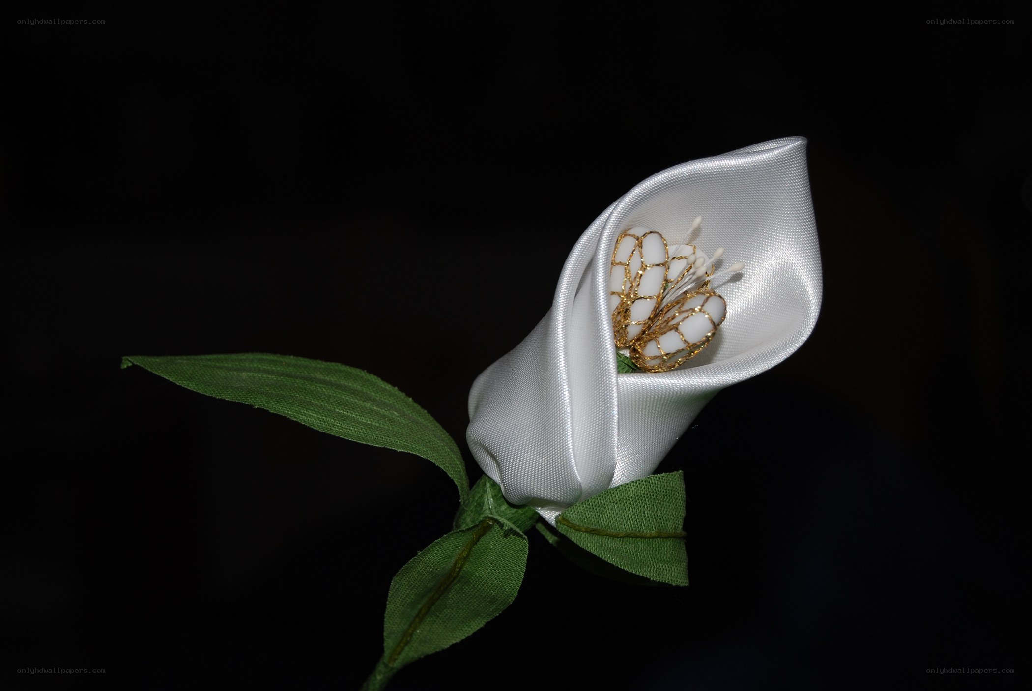 white calla lily flower