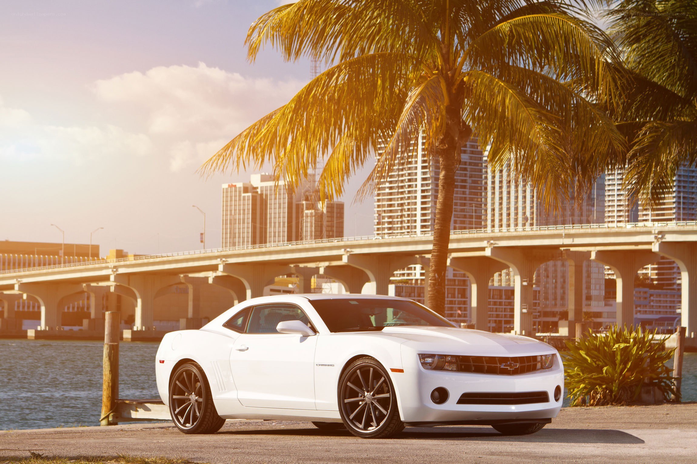 White Camaro by the water
