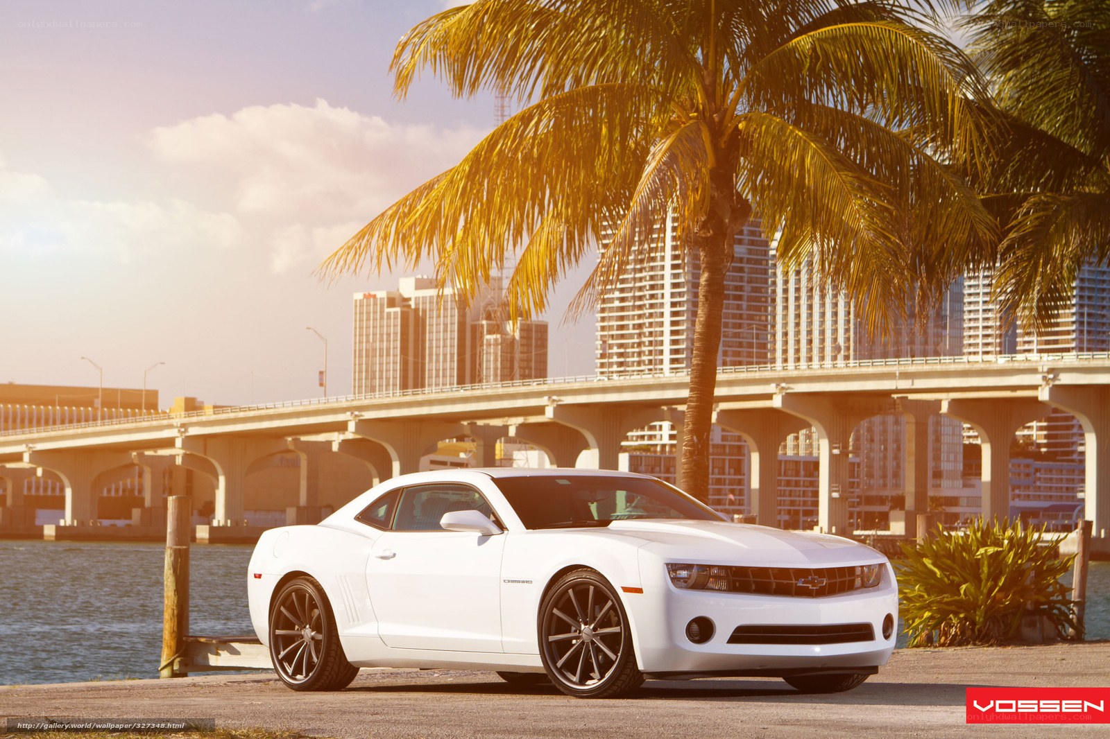 White Camaro by the water