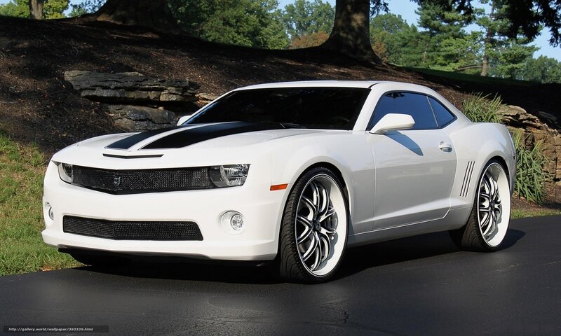 White Camaro Car — Calm, Afternoon, Photograph, Trees