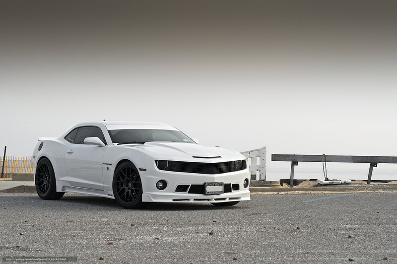 White Camaro Car — Calm, Photograph, Guardrail